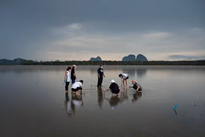Giacomo d’Orlando, Sikao Bay, Thailand