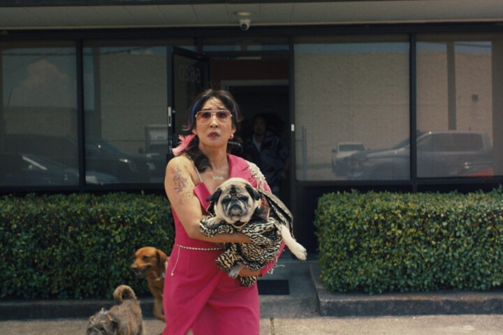 《猜谜女士》