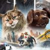 Cat and Dog
