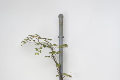 Álvaro Urbano. VEINS