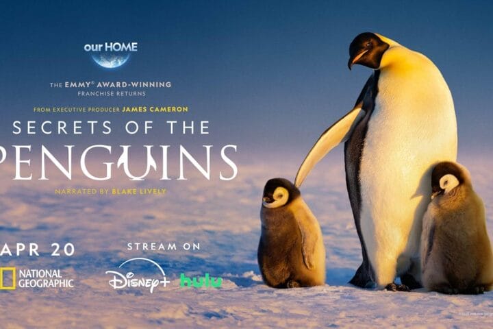 Secrets of the Penguins