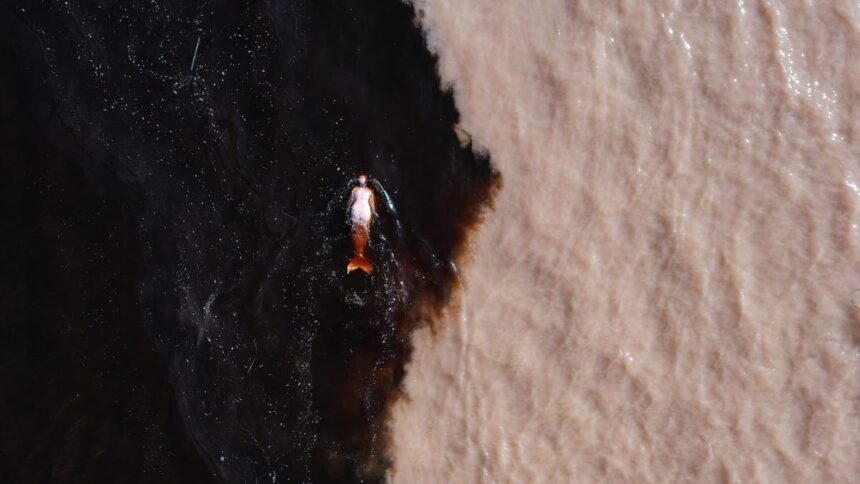 Emilija Škarnulytė