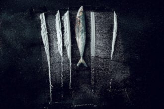 《毒海狂涛：鱼尾村离奇事件》