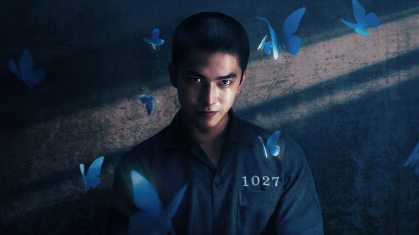 《如果我不曾见过太阳》