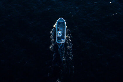 《卡曼家族死亡谜案》