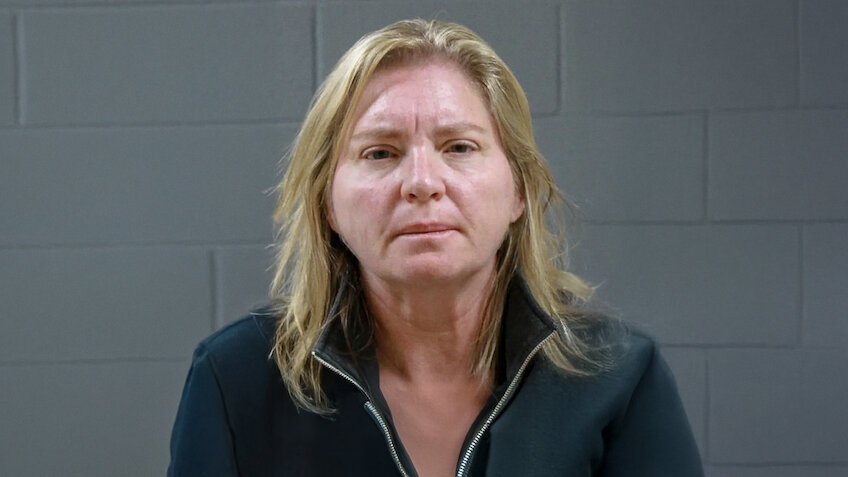 《邪恶网红：育儿界的黑暗故事》